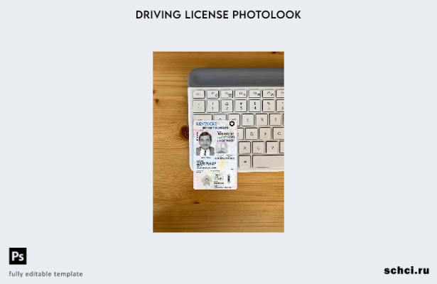 цифровая загрузка водительских прав США, Кентукки, под шаблоном Photolook FRONT
